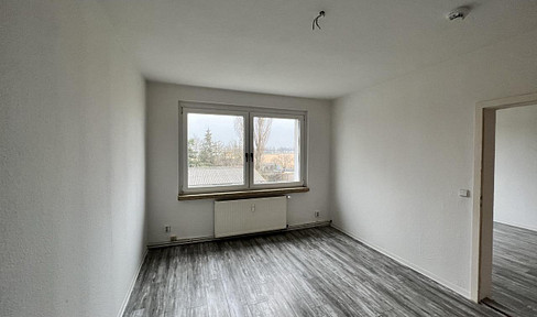 2-room apartment for rent in Halberstadt-Emersleben