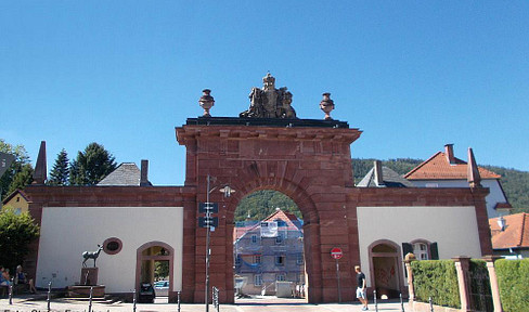 NOTVERKAUF ! Heidelberg- Neckargemünd , Mehr.Fam. Haus