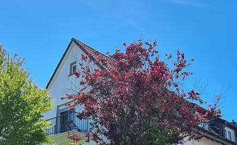 Quiet 2 room 50sqm apartment with garden in Gummersbach - forest edge location + parking space