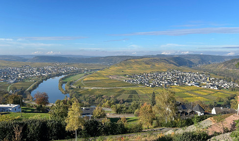 Grundstück mit unverbaubarem Moselblick