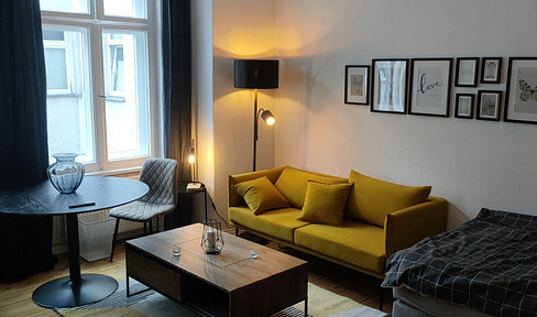 Newly renovated, fully furnished, 1 room apartment, all inclusive rent, temporary
