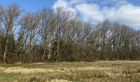 Schönes Waldgrundstück in Bremen-Lesum!