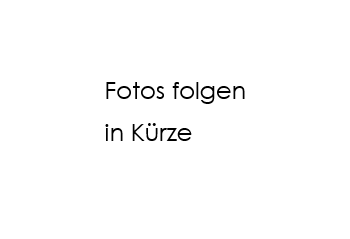 Traditional pub in the heart of Trier for lease