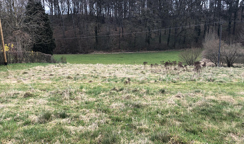 Baugrundstück, leichter Hang, sonnige Lage mit Waldblick. Kein Bauzwang!