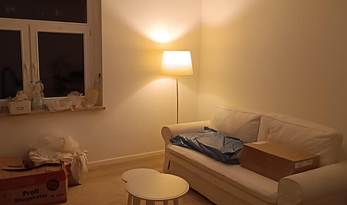 Modern, freshly renovated 1-room apartment with high-quality furnishings