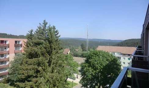 West-facing balcony on the top floor of the 5th floor, Harz Altenau