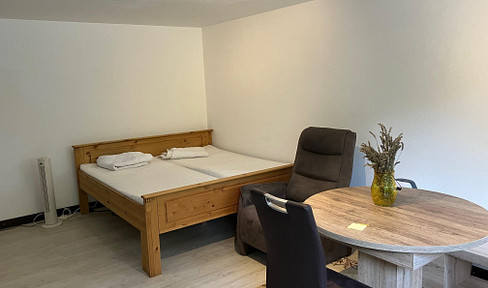 Fully FURNISHED and QUIET - 1-room apartment with use of garden in Reutlingen