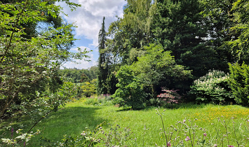 Large park property in an unobstructable location in the heart of the Rhine-Main region