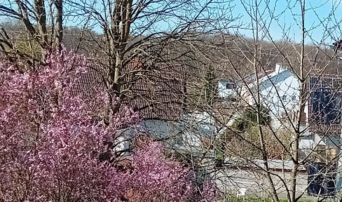 Schöne Etagenwohnung mit Aussicht und Garage