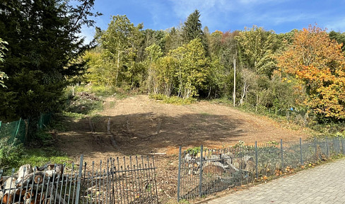 Baugrundstück in idyllischer Waldrandlage & Weitblick - Linz am Rhein