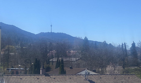 Lochenblick Appartement 3,5-Zi.Whg mit toller Aussicht und EBK