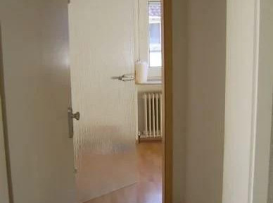 helle 2 Zimmer-Wohnung mit neuer Singleküche und Bad