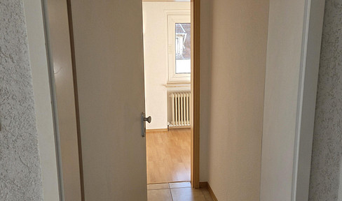 bright 2-room apartment with new single kitchen and bathroom