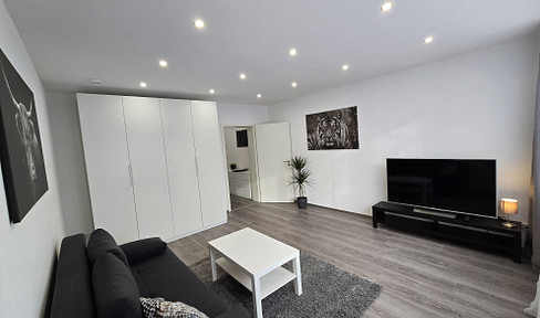 Furnished 1.5-room apartment in Mitte