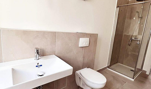 First occupancy - Freshly renovated 4-room apartment