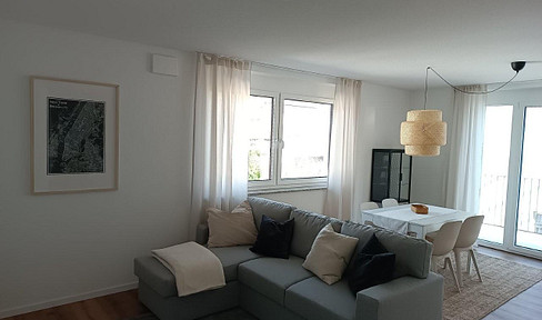 Furnished two-room apartment, 69 square meters, with balcony, located in Friesenheim.