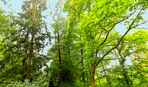 *3*HOUSES ON OVER 5.000SQM² LIVING OASIS*UNIQUELY BEAUTIFUL*HH CLOSE*WITHOUT COMMISSION*