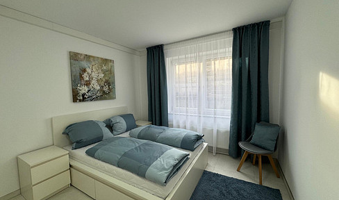 Newly renovated, furnished 2-room basement apartment