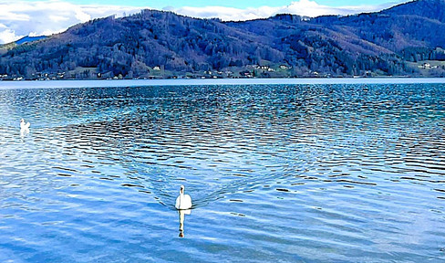 HAUS am ATTERSEE  – PRIVAT