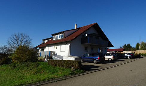 2-room apartment for rent in Sauldorf (03) (ID-1851)