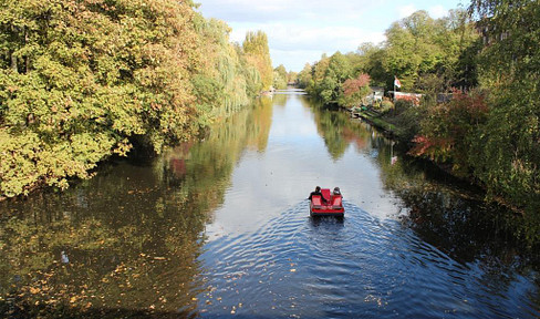 Das Wasser plätschert vor der Tür! Schwäne schwimmen  Wasser oder gehen am Ufer spazieren!