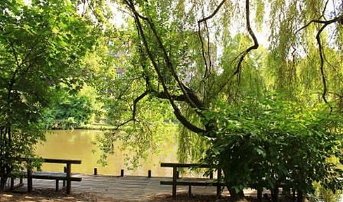 Das Wasser plätschert „vor der Tür“! Enten / Schwäne schwimmen  Wasser oder gehen am Ufer spazieren!