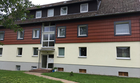Attractive, basement 3 room apartment in the beautiful spa town of Bad Harzburg