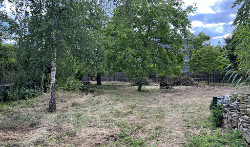 Large plot with potential + multi-family house - versatile use