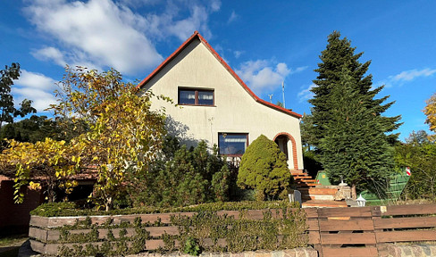 from private - large detached house with lake view in the heart of MV