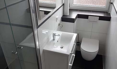 Well-designed, newly renovated 53 m² 2-room apartment in Mannheim – fitted kitchen, new construction, energy efficiency: A.