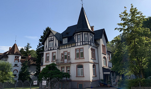 Bright old apartment with conservatory