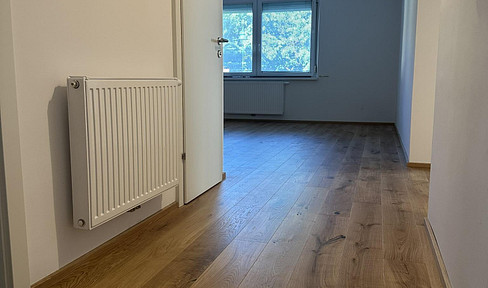 Luxury apartment in the city center