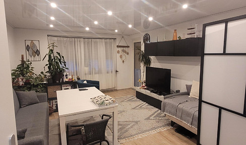 Beautiful, completely renovated 3-room apartment