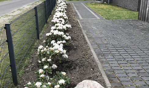 Wohnung in Stadtvilla mit großzügiger Terrasse und Carport im Grünen