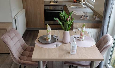Tinyhaus als Ferienhaus zu verkaufen