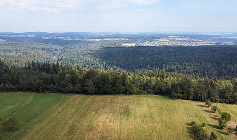 Panorama-Weitblick für kleines Budget