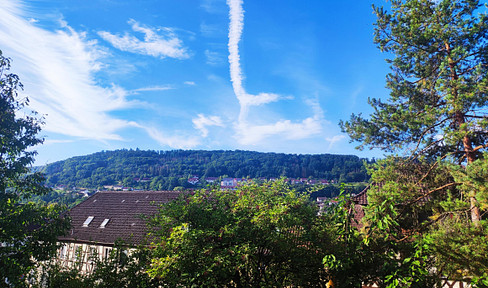 Picturesque dream apartment with 4.5 rooms in the center of Ingelfingen