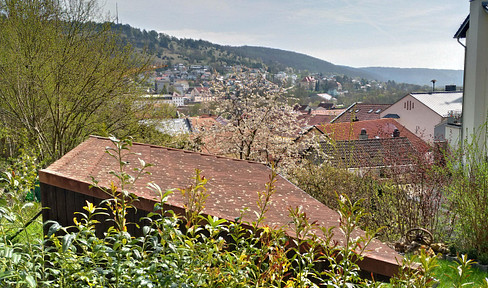 2Raum + EBK + Dusche + Wanne + Stellplatz + Traumblick