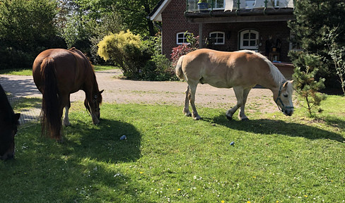 schönes Einfamilienhaus mit Pferdehaltung,Weiden und Stallungen