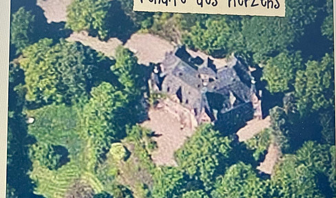 Heart Castle completely renovated Südharz