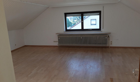 Modernized 4 room apartment, new bathroom, large roof terrace
