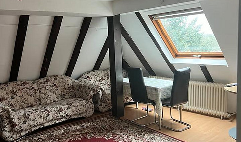 Charming, furnished 2-room attic apartment in Worms