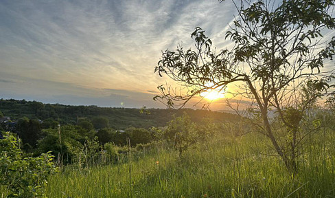 Pure nature, good quiet location, magical view, upscale interior, after renovation