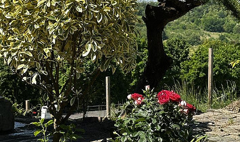 Pure nature, good quiet location, magical view, upscale interior, after renovation