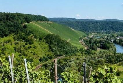 BEST LOCATION IN KONZ-KÖNEN FROM PRIVATE !