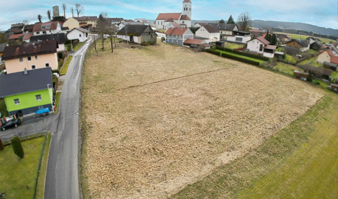 Building plot (4,237 m2) in Treffelstein 93492 without estate agent costs