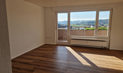 Newly renovated 1-room apartment with a great view over Steinen