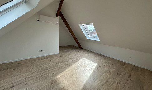 Charming detached house for rent with newly renovated attic