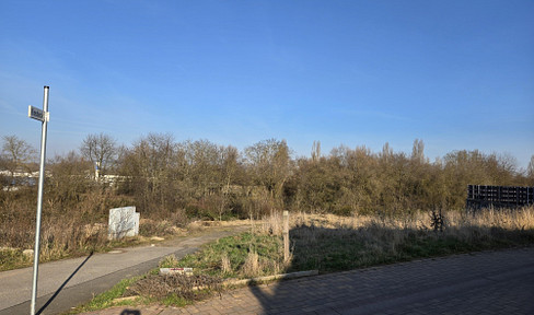 Attractive property secure this coveted opportunity "commission-free"