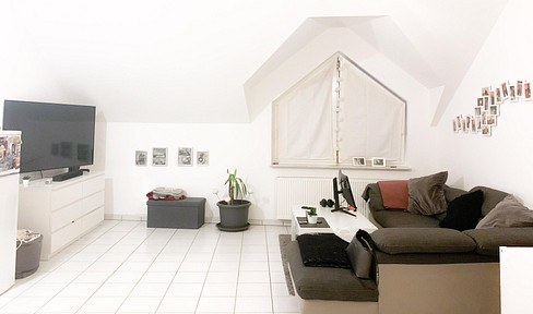 Lichtdurchflutete Loftwohnung 3 Zimmer in Riedstadt